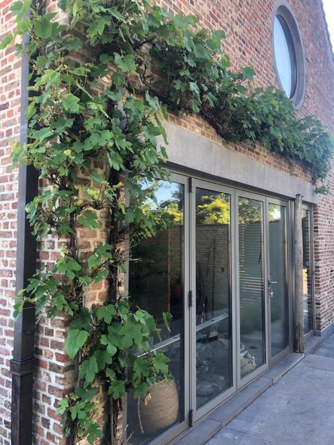 Landelijke Villa Met Zwembad En Gezellige Openhaard Zemst 外观 照片